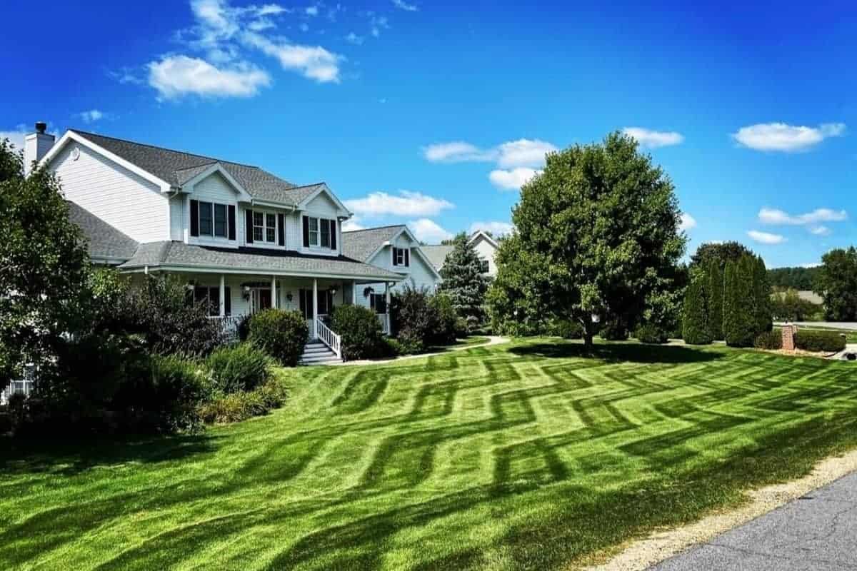 Western Landscape Lawn Care project