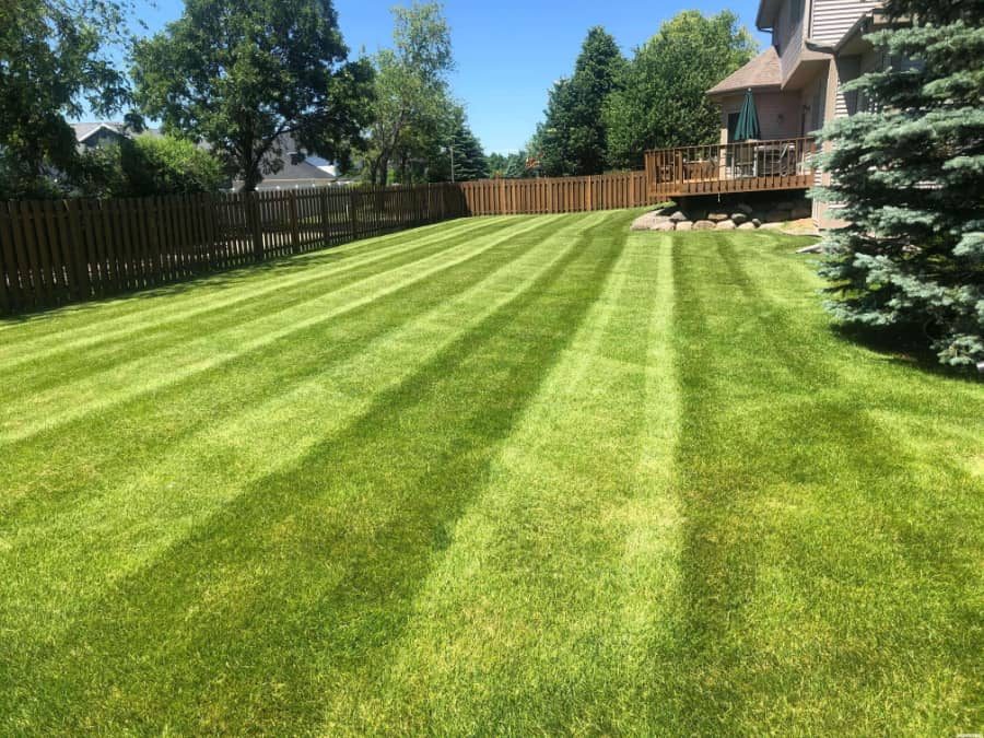 Western Landscape Lawn Care project
